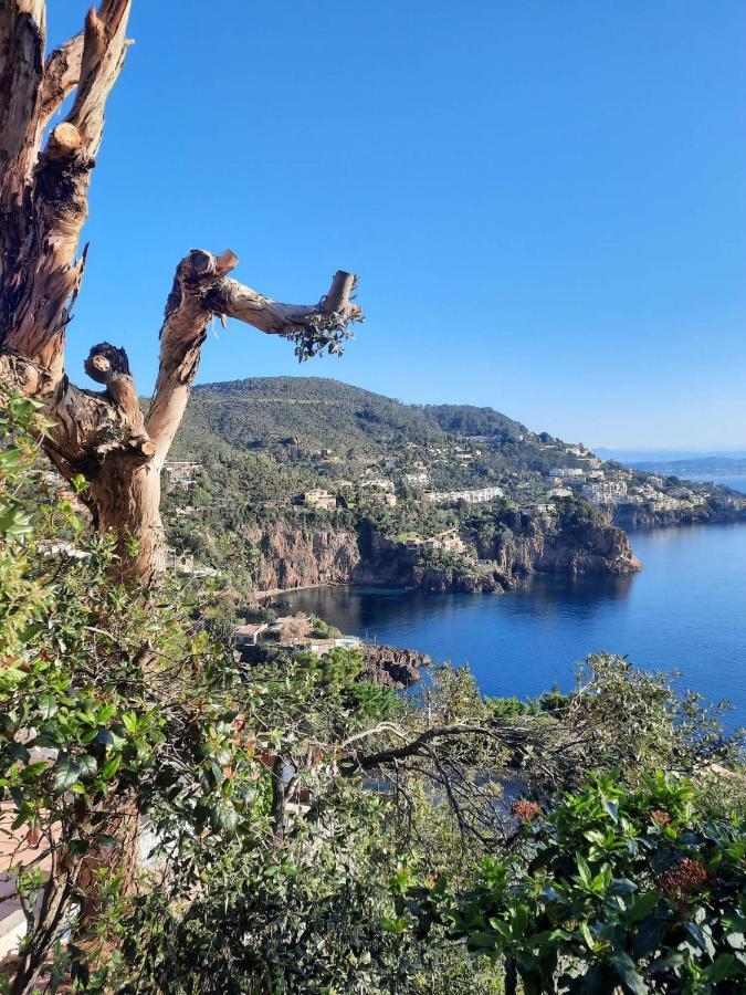 Magic Mer Saint-Raphaël Екстериор снимка